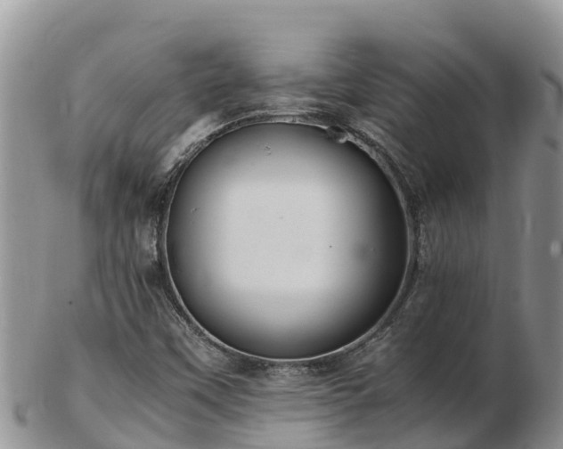 X0000103311451200809051534