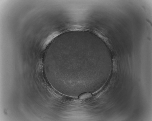 X0000103311453200809051534