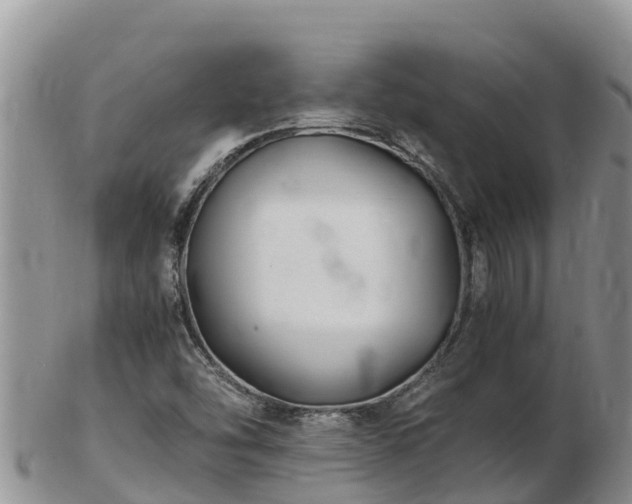 X0000103311454200809051534