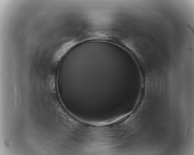 X0000103311455200809051534