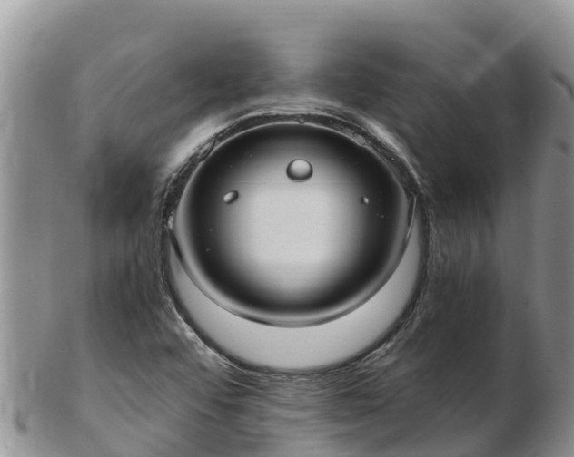 X0000103311456200809051534