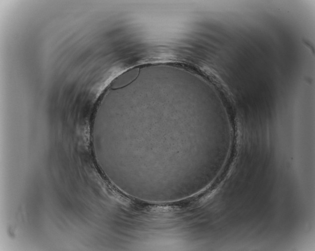 X0000103311457200809051534