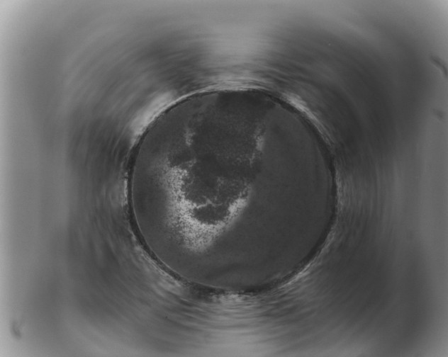 X0000103311459200809051534