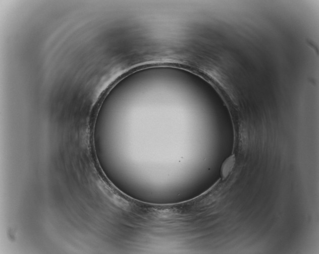 X0000103311460200809051534
