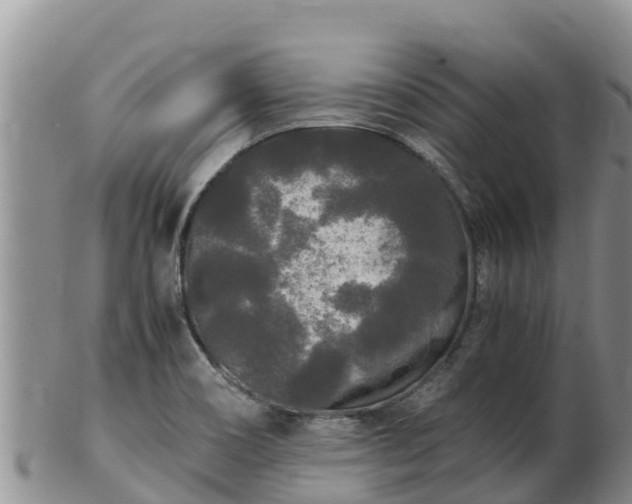X0000103311466200809051534