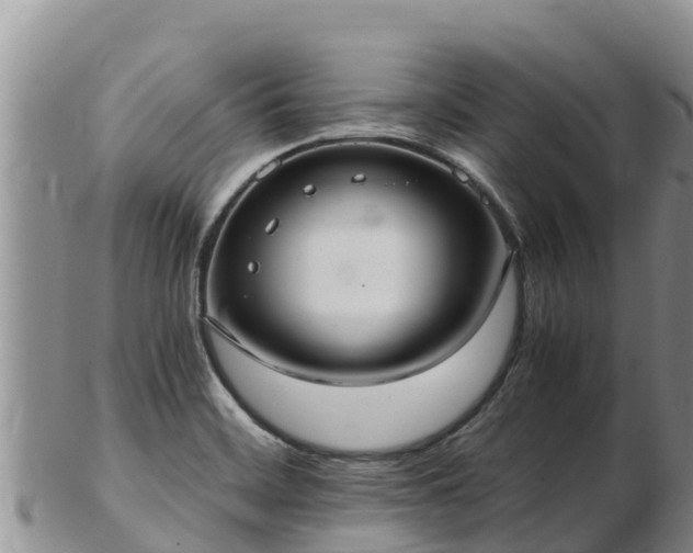 X0000103311468200809051534