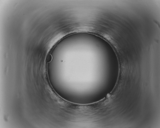 X0000103311469200809051534
