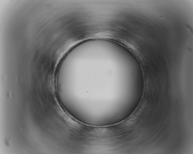 X0000103311470200809051534