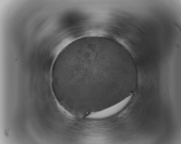 X0000103311471200809051534