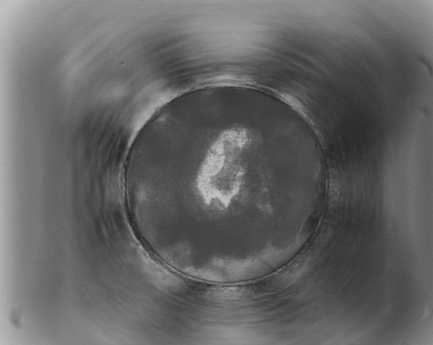X0000103311474200809051534