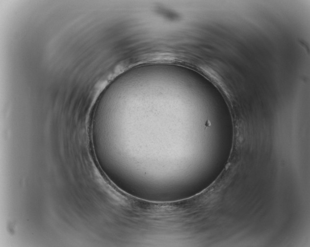 X0000103311475200809051534