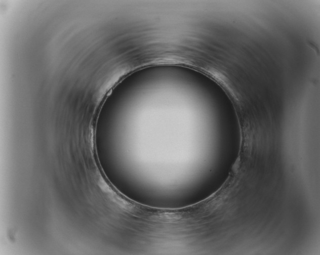 X0000103311476200809051534