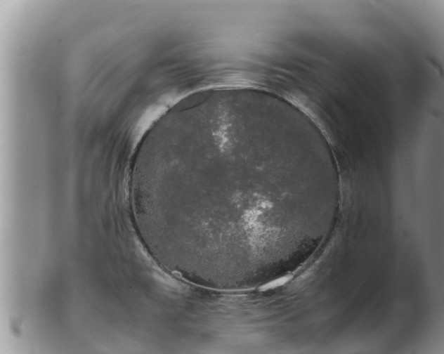 X0000103311477200809051534