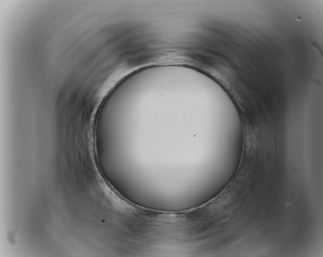 X0000103311478200809051534