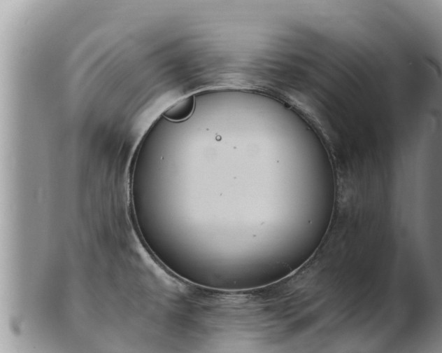 X0000103311479200809051534