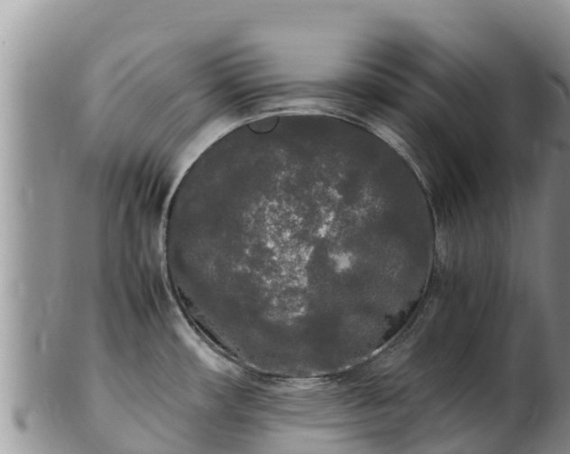 X0000103311482200809051534