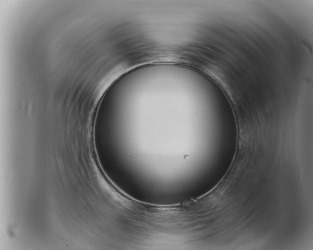 X0000103311483200809051534