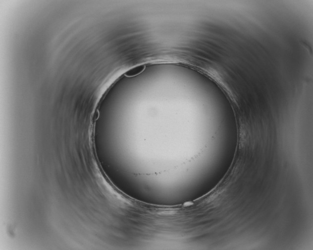 X0000103311484200809051534