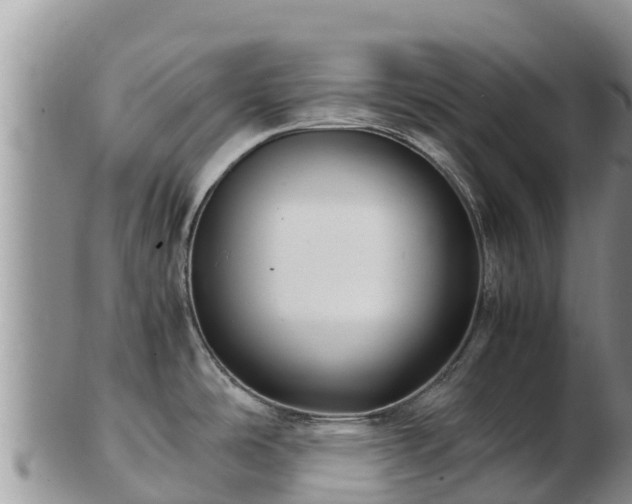 X0000103311486200809051534