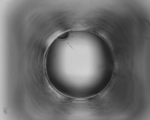 X0000103311487200809051534