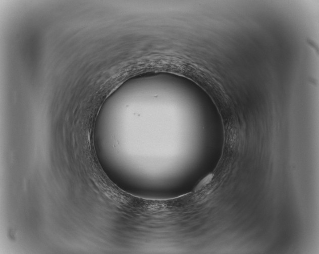 X0000103311489200809051533