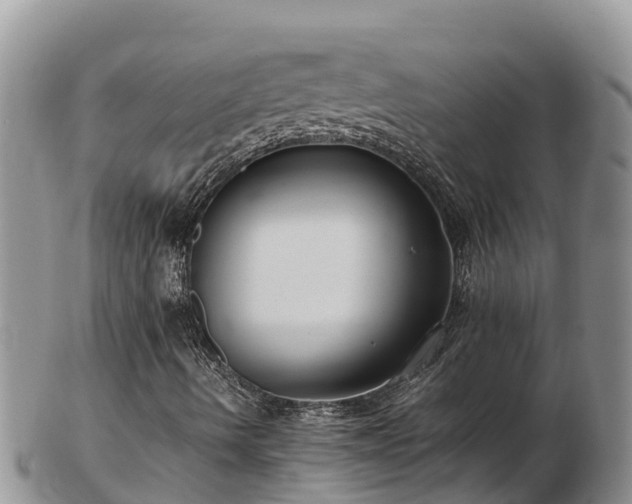 X0000103311490200809051533