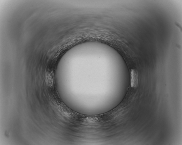 X0000103311491200809051533