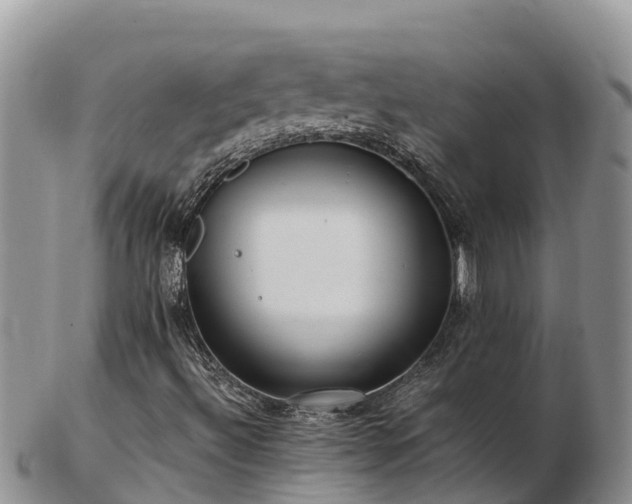 X0000103311492200809051533