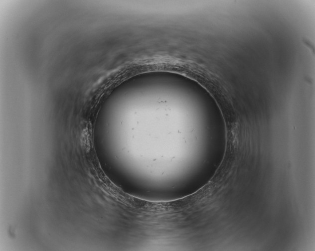 X0000103311493200809051533