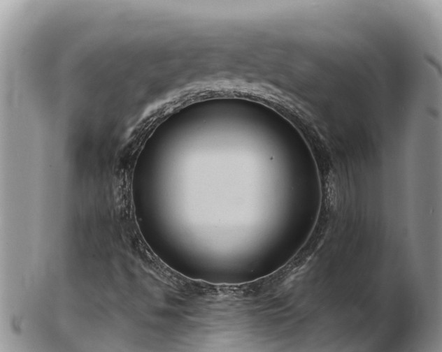 X0000103311494200809051533