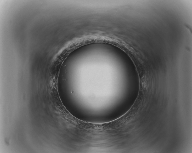 X0000103311495200809051533