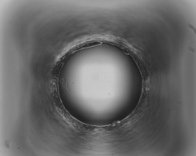 X0000103311496200809051533