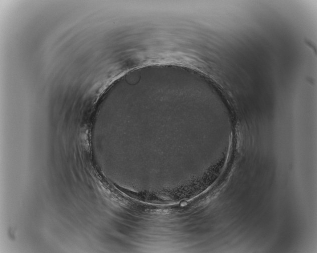 X0000103311497200809051533