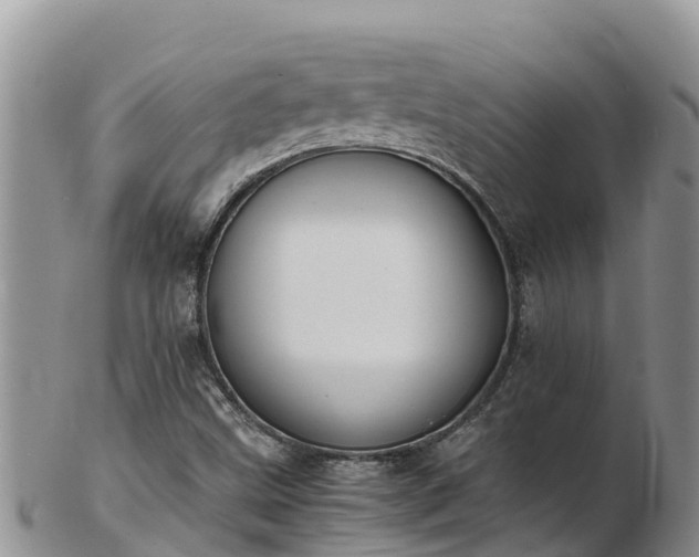 X0000103311499200809051533