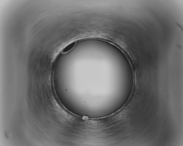 X0000103311500200809051533