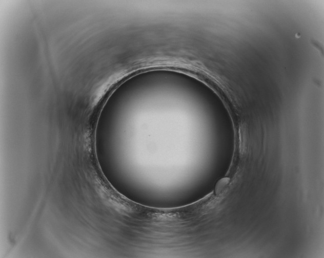 X0000103311501200809051533