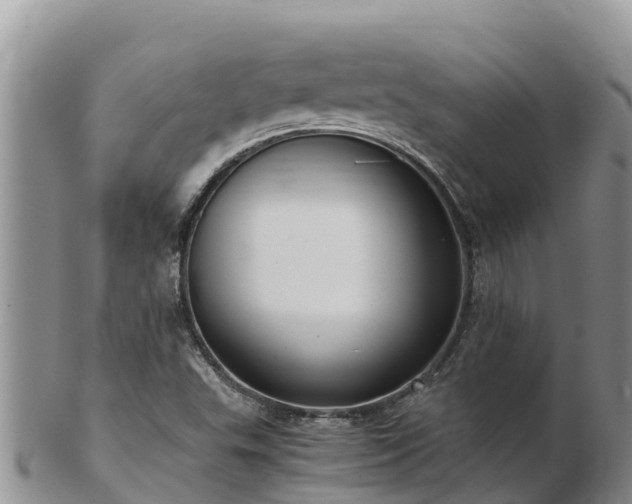 X0000103311503200809051533