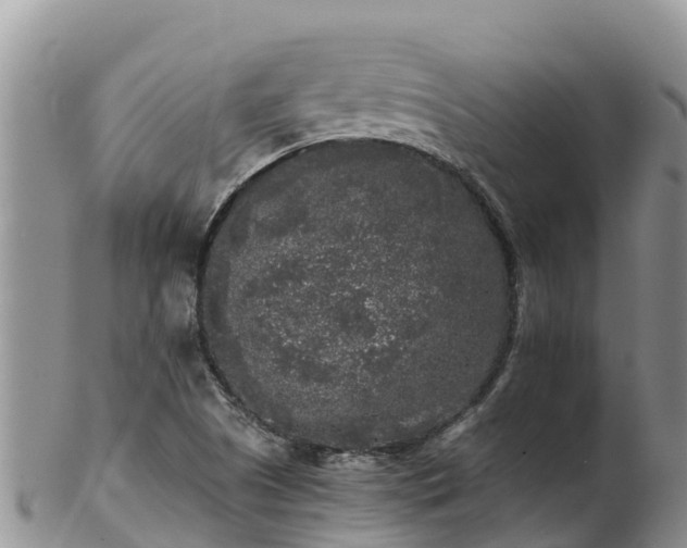 X0000103311505200809051533