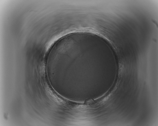 X0000103311506200809051533