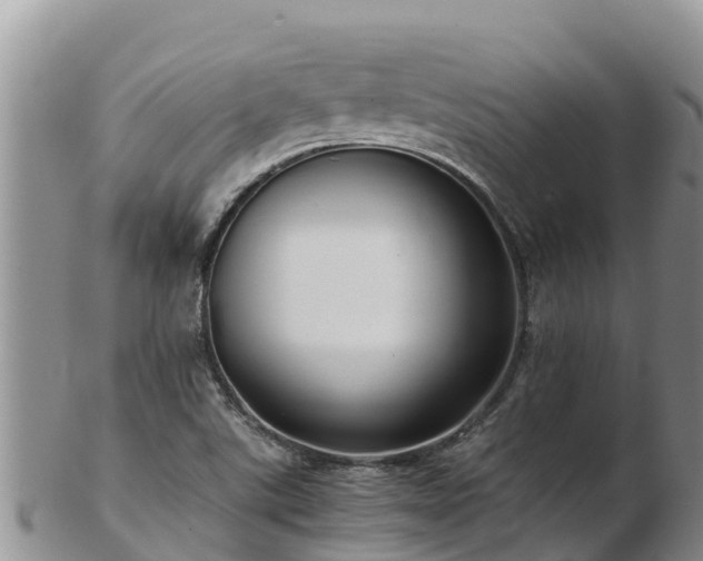 X0000103311507200809051533