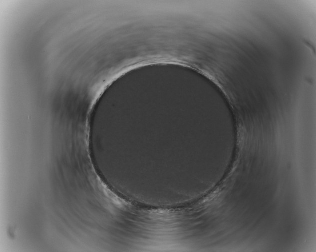 X0000103311508200809051533