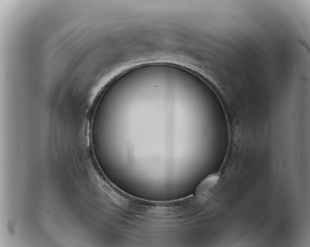 X0000103311510200809051533