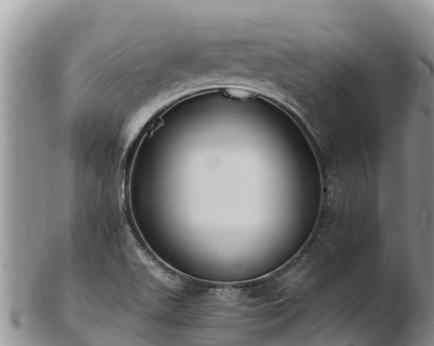 X0000103311511200809051533