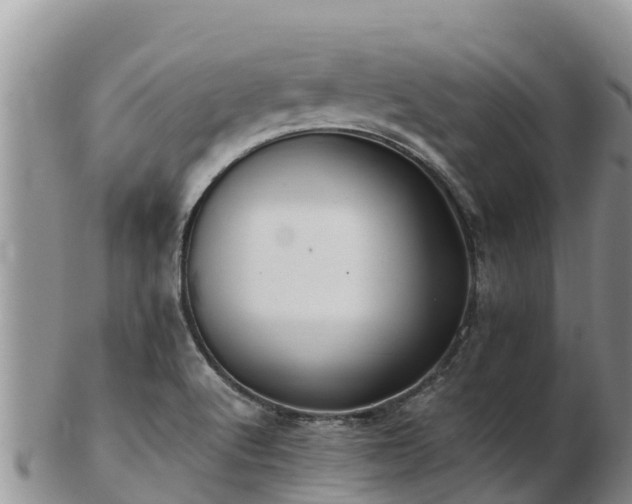 X0000103311512200809051533