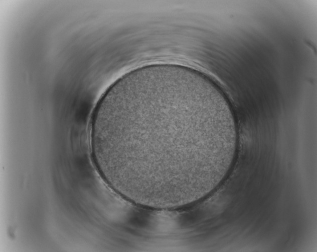 X0000103311514200809051533