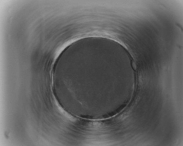 X0000103311515200809051533