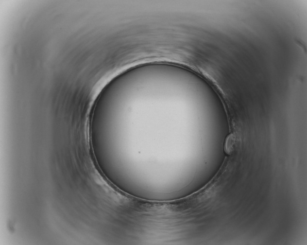 X0000103311516200809051533