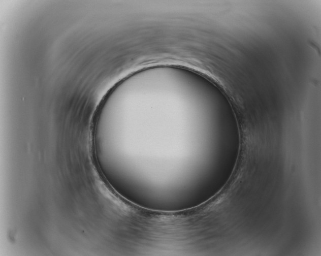 X0000103311518200809051533