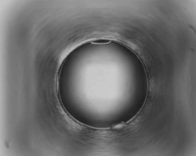 X0000103311520200809051533