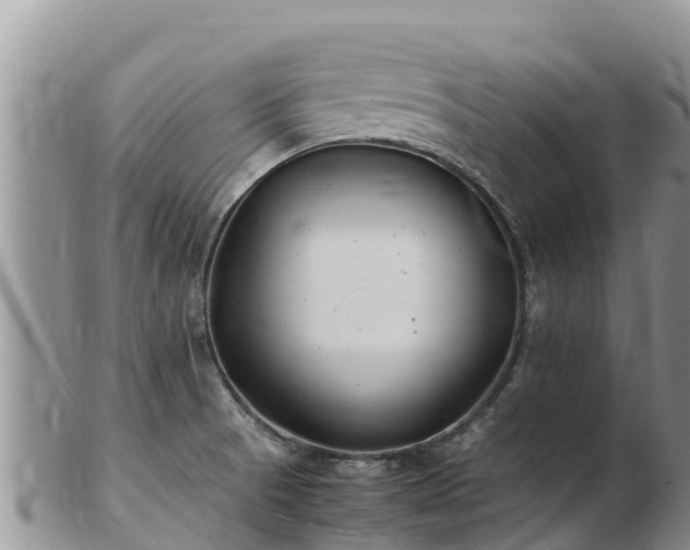 X0000103311521200809051533